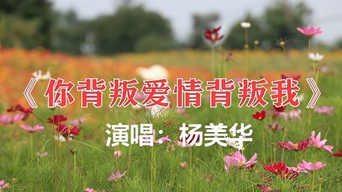 杨美华情歌《你背叛爱情背叛我》歌词伤感,为什么你要这样欺骗我