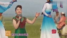 蒙古族歌手朝鲁孟演唱《长调情》唯美的歌声婉转动听