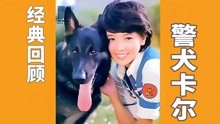童年回忆：1977年《警犬卡尔》，小时候好想拥有一只这样的警犬！