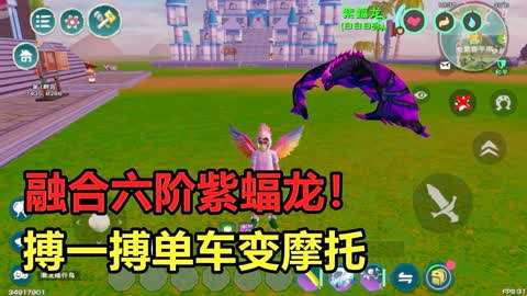 创造与魔法:融合六阶紫蝠龙!5.0的靛蓝能否合出极品紫龙