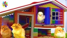 小玲儿童玩具：小鸡的彩虹小屋！