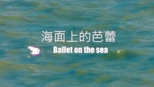 海面上的芭蕾 Ballet on the sea