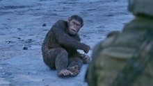 人类与猿猴的战争