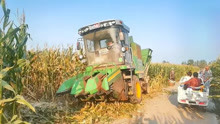 农民八万购买玉米收割机，收割玉米20天能赚五万，看看技术怎么样