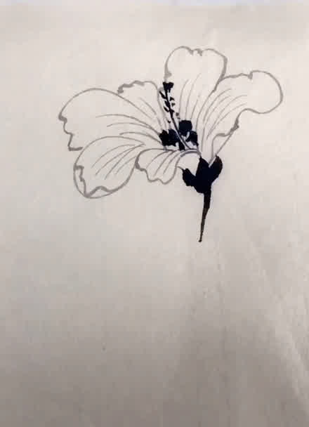 白描扶桑花?