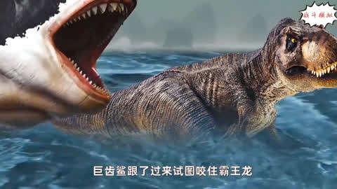 巨齿鲨遇到霸王龙会怎样?浅海区战斗模拟告诉你