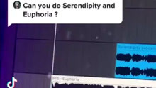 《Serenditpity》X《Euphoria》是天籁的程度了