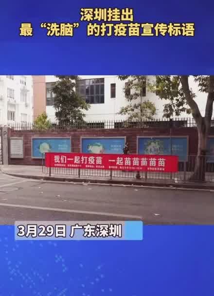 深圳打疫苗标语图片