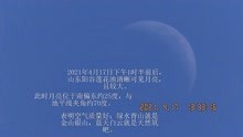 阳谷莲花池，2021年4月17日下午约1时半，清晰见到月亮21.4.17