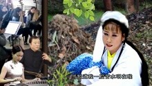 [图]安徽庐剧《绣花女哭坟》：父亲坟前，山妹哭诉心中苦，刘长芳演唱