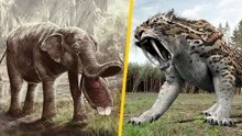 嘴巴像铲子的大象？牙齿28厘米长的老虎？这些史前生物幸好灭绝了