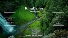 Kingfisher音乐的顶级享受/精神的顶级享受/缓缓音乐静静听