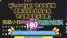 [图]Windows 11 中文专业版，使用汉化包轻松实现中文界面显示效果