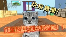 Cat Simulator：玻璃用猫咪的视角去公园玩耍，真是太有趣了