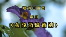 [图]唐诗三百首《金陵酒肆留别》古诗朗读赏析 虽不出名 却是千古佳作