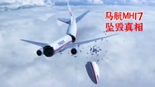 [图]马航MH17坠毁真相，害死298人的幕后黑手究竟是谁？《空中浩劫》