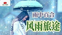 [图]独自承受着所有酸楚，累了倦了也好想哭《风雨旅途》经典歌曲