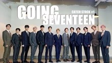 【SVT_ZER·0】EP.25 GOING SEVENTEEN 2021 CATCH STOCK #1 零站中字