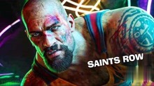 [图]SAINTS ROW 黑道圣徒