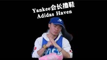 Yankee会长撸鞋-Adidas Haven