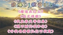 [图]劲爆DJ歌曲012《邂逅在红尘》《玛尼情歌》《我在春天等你来》