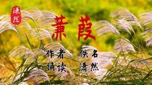 [图]蒹葭 作者：佚名 诗经 诵读：潇然 古诗词朗诵