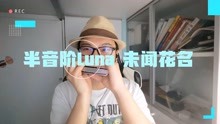 [图]半音阶口琴Luna 首秀 未闻花名ED secretbase~君がくれたもの~