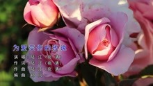 陆江(宛清)-为爱受伤的玫瑰