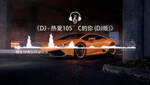 [图]DJ-热爱105度的你 (DJ版)