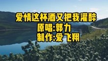 [图]郭力一首《爱情这杯酒又把我灌醉》，一回一回痛彻我心扉