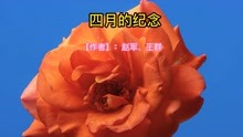 《四月的纪念》【作者】：赵军、王群，爱情的深情表达！