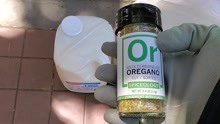 Oregano译为牛至，是一种可以提取芳香油的、叶子带有甜味的植物