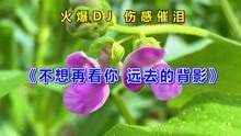 [图]一首情歌《不想再看你远去的背影》伤感催泪，听哭了多少痴情人！