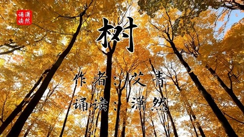 艾青的树背景图图片