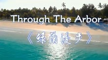 [图]纯音乐-钢琴曲Through The Arbor《绿荫漫步》