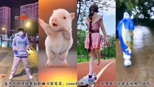 [图]盘点不同风格舞蹈歌曲《穷叉叉、come的喂、剑魂、孤勇者》