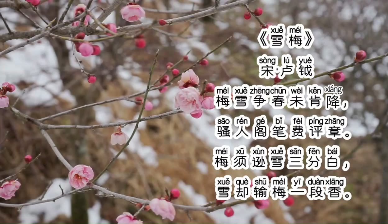 《雪梅》宋·卢钺,拼音版