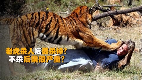 为什么老虎吃人后,一定要将它杀掉?如果不杀后果很严重吗?
