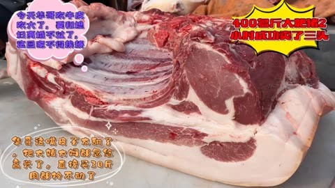 今天猪肉疯抢