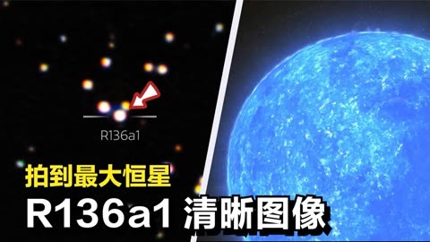 r136a1图片图片