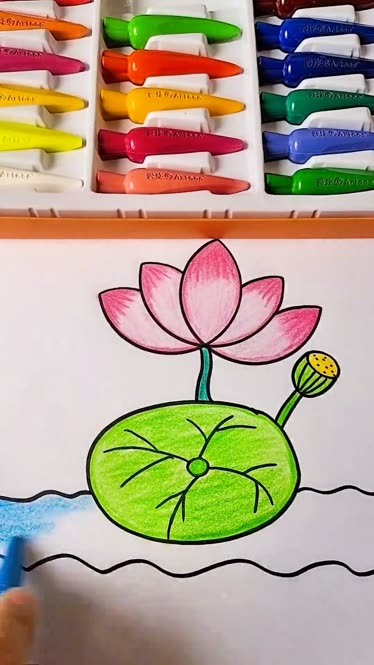 莲花的简笔画带颜色图片