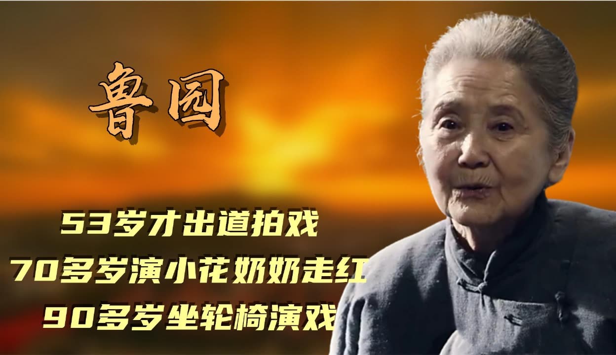 鲁园个人资料简介图片