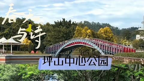 深圳龙岗免费的景区图片