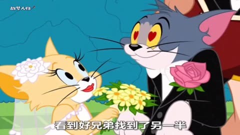 猫和老鼠  动漫推荐  童年动画 汤姆结婚了