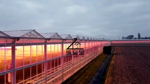 现代化农业示范园区建设,荷兰玻璃温室大棚,无土栽培种植设施