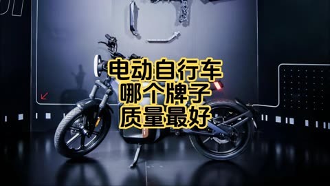 電動自行車哪個牌子質量最好