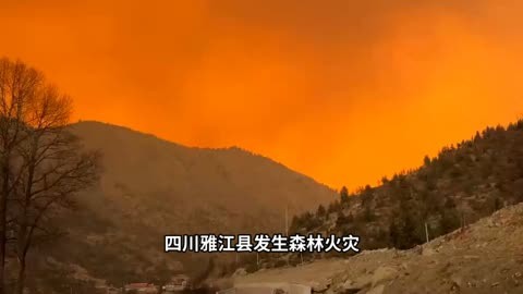 四川雅江森林大火肆虐,救援队紧急出动