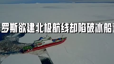 孟晚舟 北极航线图片
