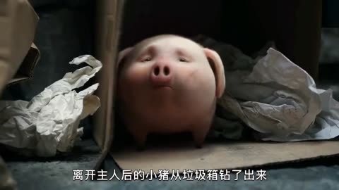 丢失的小猪存钱罐电影图片