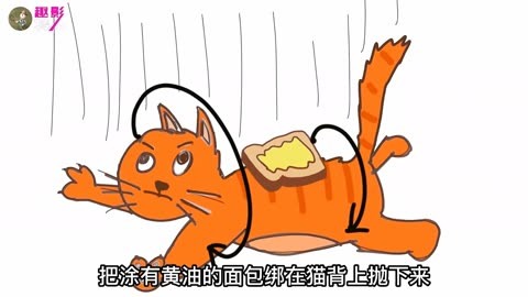 黄油猫悖论图片